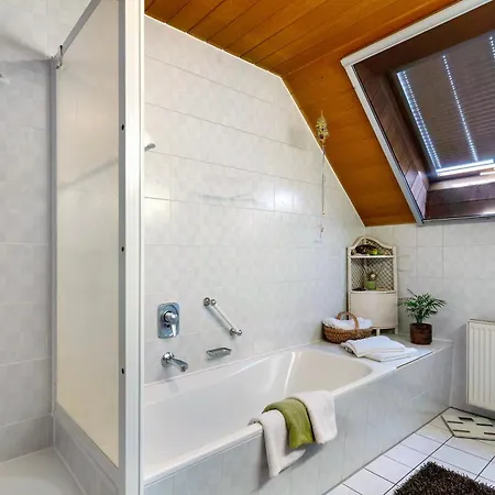 Ferienhaus Am Rhein Rheinau